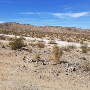 Meet your Posher, Dee